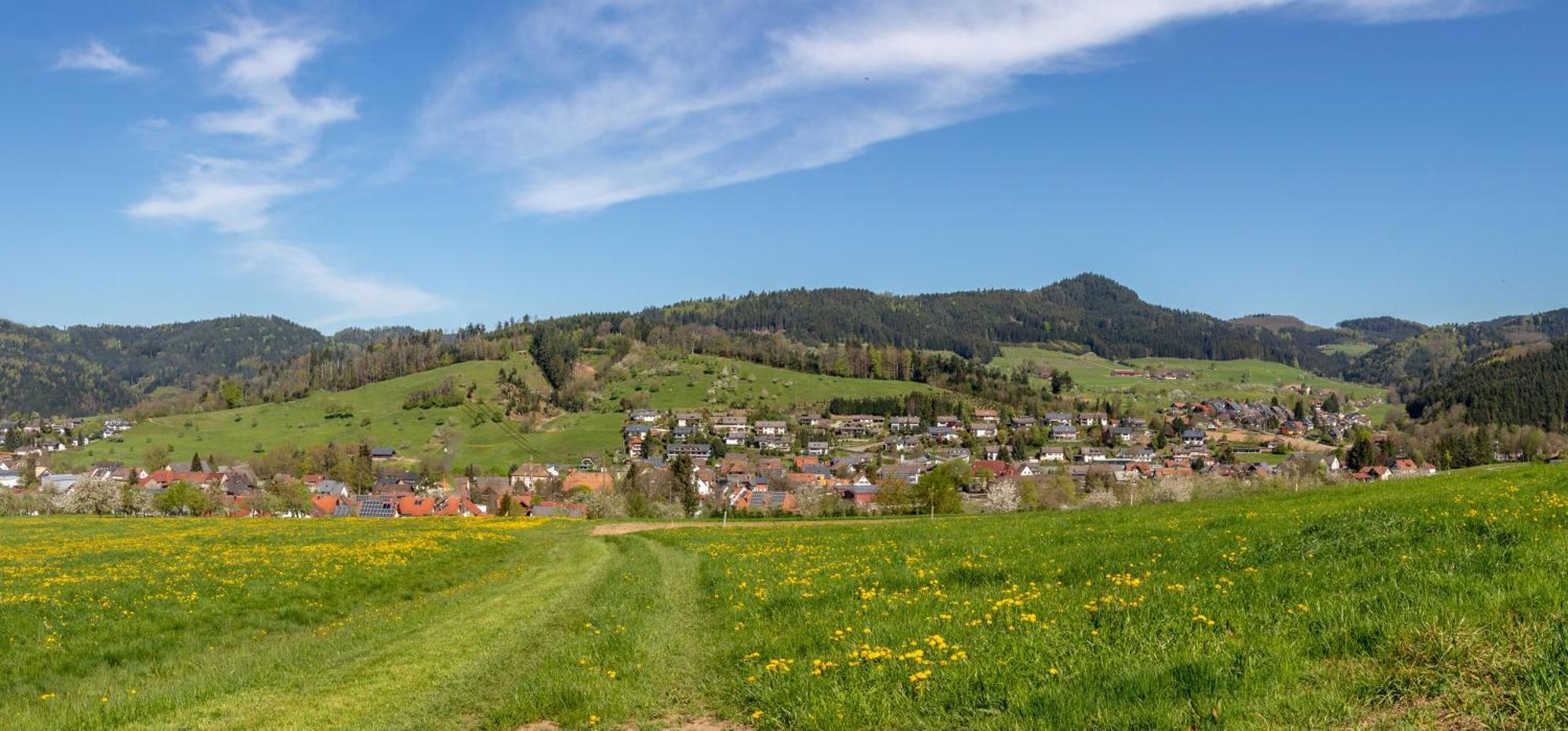 Apartmán Haus Irmgard Zell am Harmersbach Exteriér fotografie